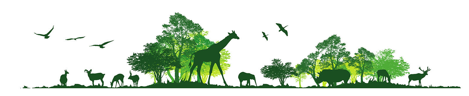 Sustainability